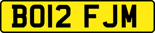 BO12FJM