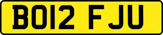 BO12FJU
