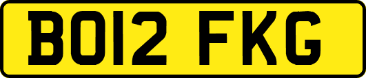 BO12FKG