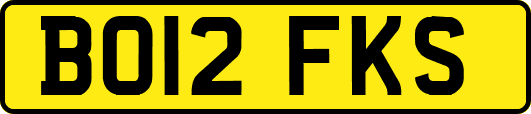 BO12FKS