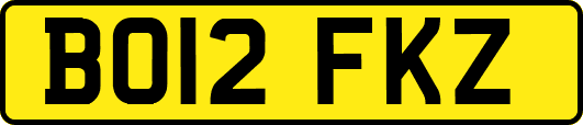 BO12FKZ