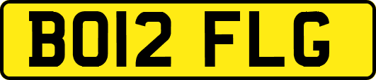 BO12FLG