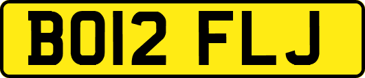 BO12FLJ