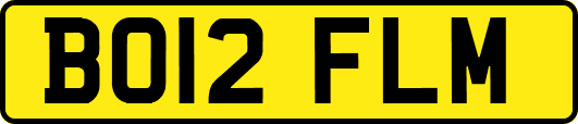 BO12FLM