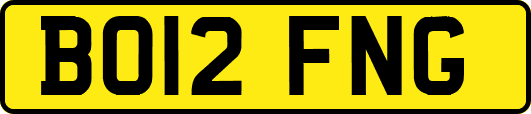 BO12FNG