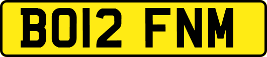 BO12FNM