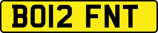 BO12FNT