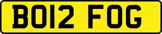 BO12FOG