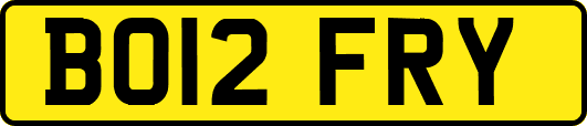 BO12FRY
