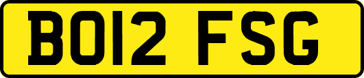 BO12FSG