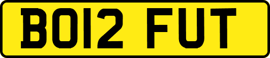 BO12FUT