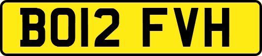 BO12FVH
