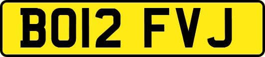 BO12FVJ