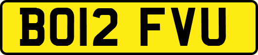 BO12FVU