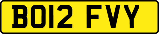 BO12FVY