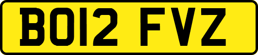 BO12FVZ