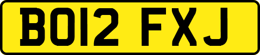 BO12FXJ