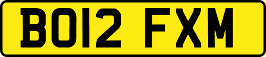 BO12FXM