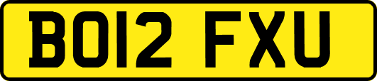 BO12FXU