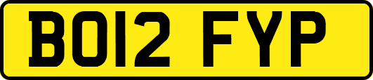 BO12FYP