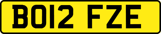 BO12FZE