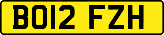 BO12FZH