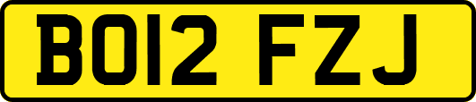 BO12FZJ