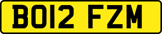 BO12FZM