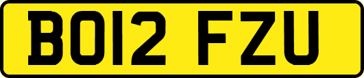 BO12FZU