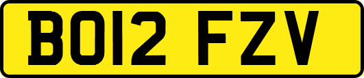 BO12FZV