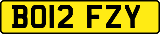 BO12FZY
