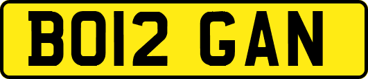 BO12GAN