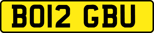 BO12GBU
