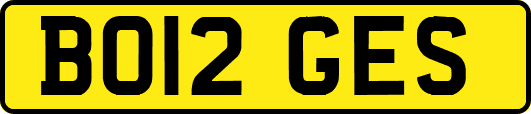 BO12GES