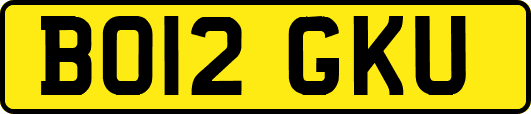 BO12GKU