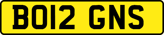 BO12GNS