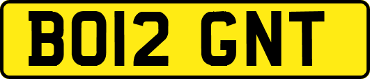 BO12GNT
