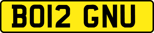 BO12GNU
