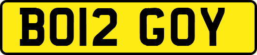 BO12GOY