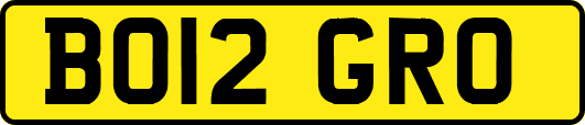 BO12GRO