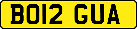 BO12GUA