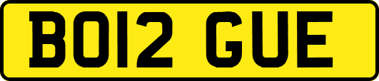 BO12GUE
