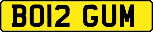 BO12GUM