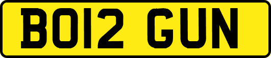BO12GUN
