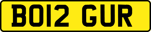 BO12GUR