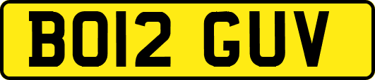 BO12GUV