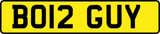 BO12GUY