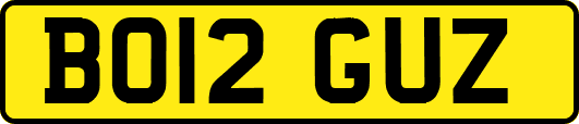 BO12GUZ