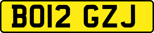 BO12GZJ