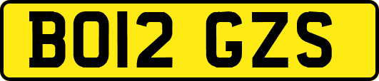 BO12GZS